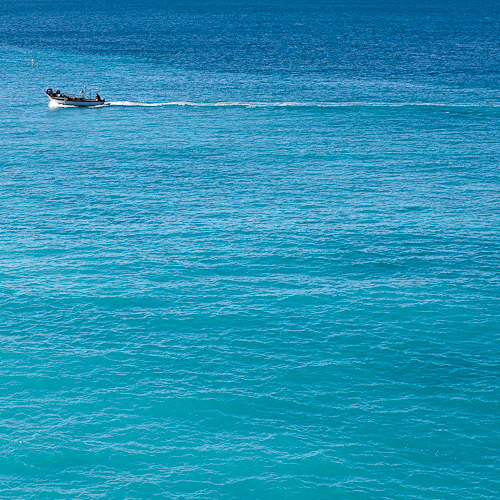 Pêche au carré